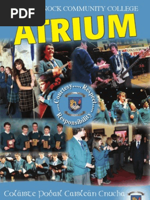 Castleknock Community College - Atrium 2013