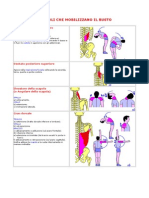 (Allenamento) Muscoli Che Mobilizzano Gli Arti Inferiori, Gli Arti Superiori Ed Il Busto