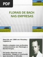 Florais de Bach Nas Empresas