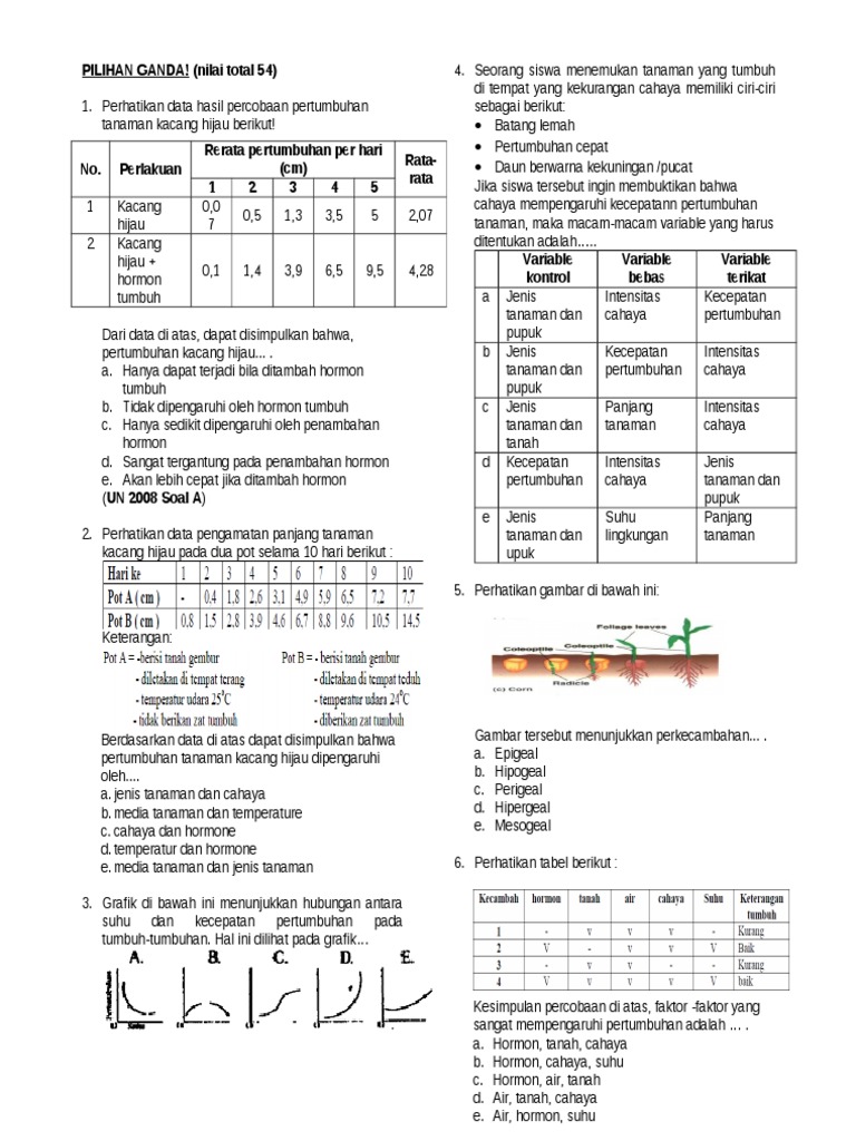 Contoh Soal Matematika Pertumbuhan