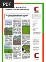 Boletim Informativo da Cooperação Portuguesa na Guiné-Bissau julho-agosto 2013