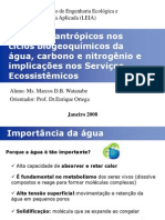 CiclosAguaCarbonoNitrogenio_Ciclos e processos de transformação na Biosfera - Unicamp