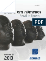 Brasil em números - 2013 IBGE
