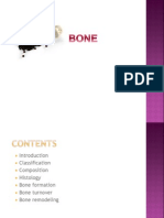 Alveolar Bone - Vandy