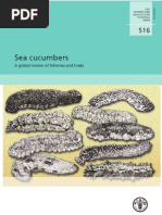 Download FAO 516 Sea Cucumbers by dietrich SN16678473 doc pdf