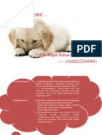 Download Descriptive Text by Raharsenaya Hutami SN166789063 doc pdf
