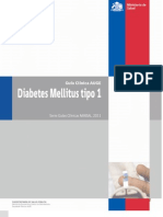 Guia_clinica_diabetes_1_2011.pdf