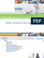 HDAP Acct Services Billing