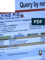 Flying Pig