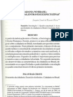 Cidadania e Direitos Sociais - Leonel Alvim