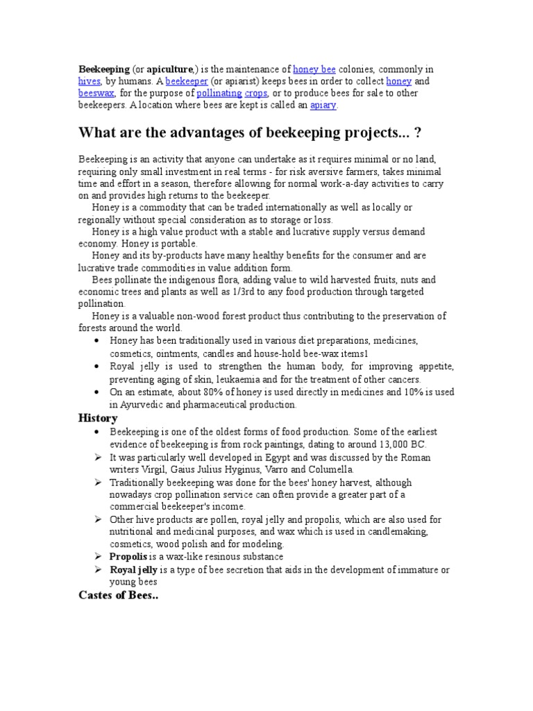 Beekeeping visual data 2