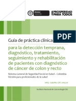 Guía para La Detección Temprana, Diagnóstico, Tratamiento, Seguimiento y Rehabilitación de Pacientes Con Diagnóstico de Cáncer de Colon y Recto