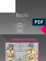 Bocio 3