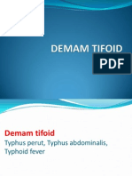 Demam-Tifoid VIVI2