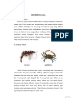 Artikel Crustacea