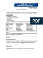 Lenguaje Termodinamico.pdf Practica