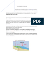 El Ciclo Del Oxigeno.docx Sheyla