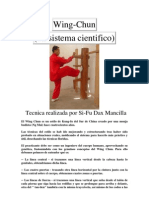 Tecnicas de Wing Chun