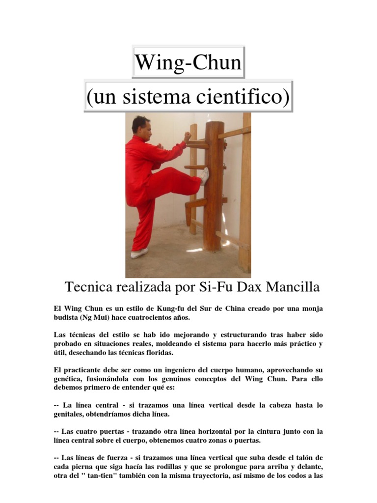 Tecnicas De Wing Chun Pdf Wing Chun Principles Guide | PDF | Wing Chun