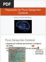 Regulação do Fluxo Sanguíneo Cerebral