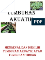 Tumbuhan Akuatik