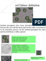 Protoplast Culture: Isolated Plant Cells Without Cell Walls