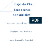 Receptores sensoriales