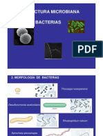 Estructura 2 Morfología Bacterias (Modo de Compatibilidad)