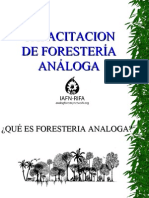 Foresteria Analoga Conceptos