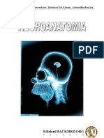 Neuroanatomia (PG)