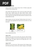Download Info Jagung by cray valley SN16693580 doc pdf