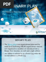 MLM Binary Business Plan