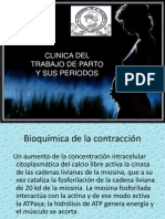 Clinica Del Trabajo de Parto y Sus Periodos2