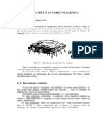 11.campo Das Correntes PDF