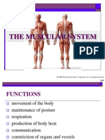 The Human Muscular System PDF