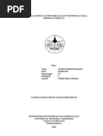 Download Acara 2 Pengenalan Hewan Avertebrata Dan Vertebrata Pada Berbagai Habitat by Hanifah Basalamah SN167003211 doc pdf