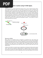 Ligation