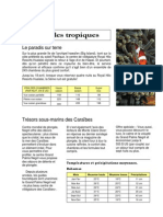 Sous Les Tropiques PDF