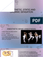 Kinesthetic and Organic Sensation