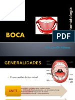 CAVIDAD ORAL (Estomatologia)