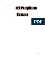 Virus Del Pampiloma Humano