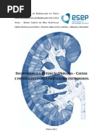 INCONTINÊNCIA E RETENÇÃO URINÁRIA – CAUSAS E IMPLICAÇÕES PARA A PRÁTICA DOS ENFERMEIROS. (2)
