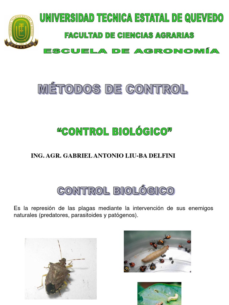 Control Biológico Plagas y Enfermedades | PDF | Mosca | Araña