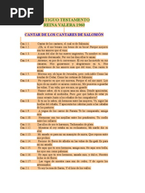 salomon con caña