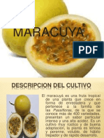 MARACUYA