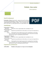 Curriculum Vitae Modelo1c Verde