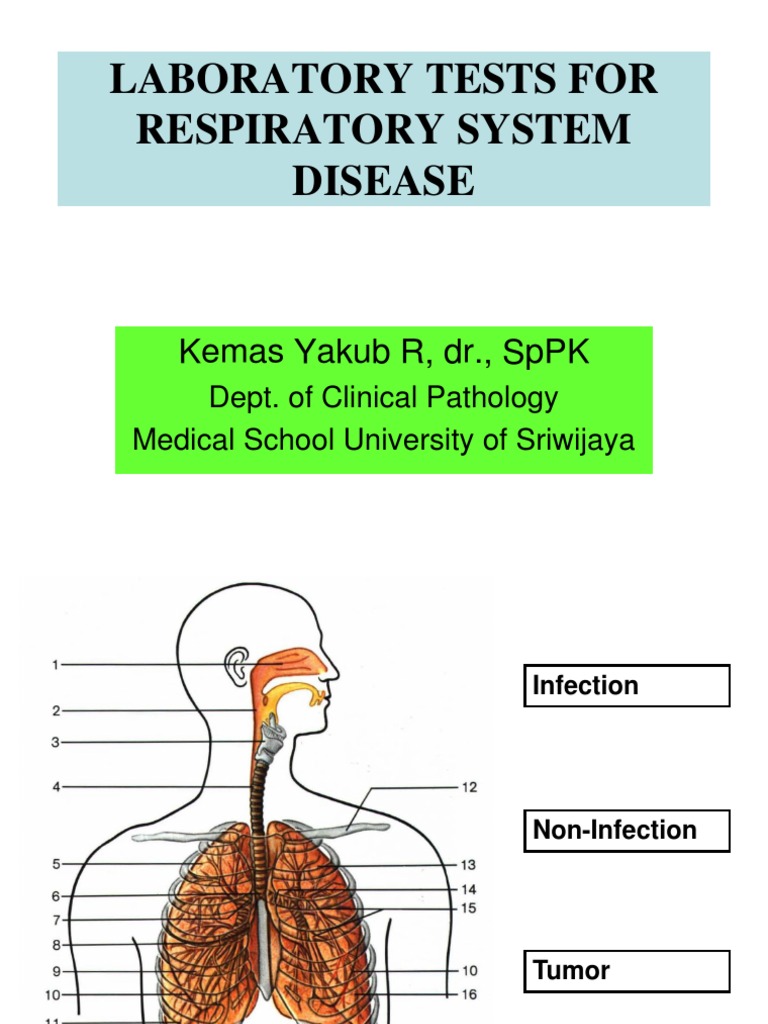 Laboratory Tests for Respiratory System Disease Pneumonia White Blood Cell