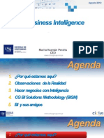 Business Intelligence 2012