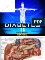 Diabetes Mellitus Jose