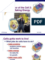 Ap Cell Tour 2 Energy